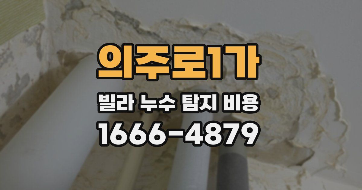 의주로1가 빌라 누수 탐지 비용