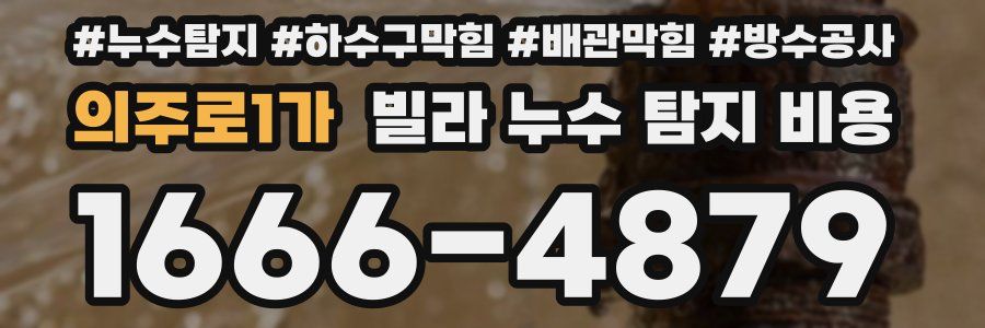 의주로1가 빌라 누수 탐지 비용