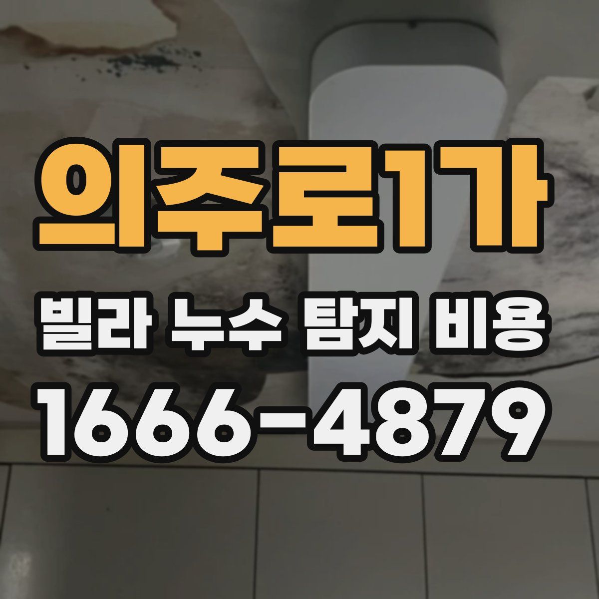 의주로1가 빌라 누수 탐지 비용