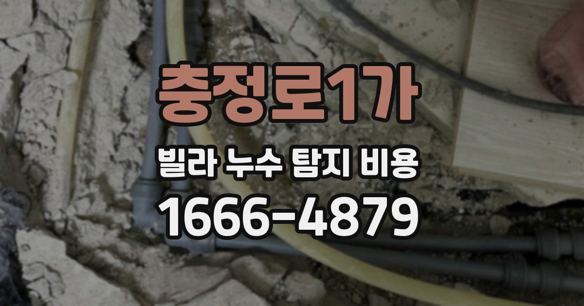 충정로1가 빌라 누수 탐지 비용