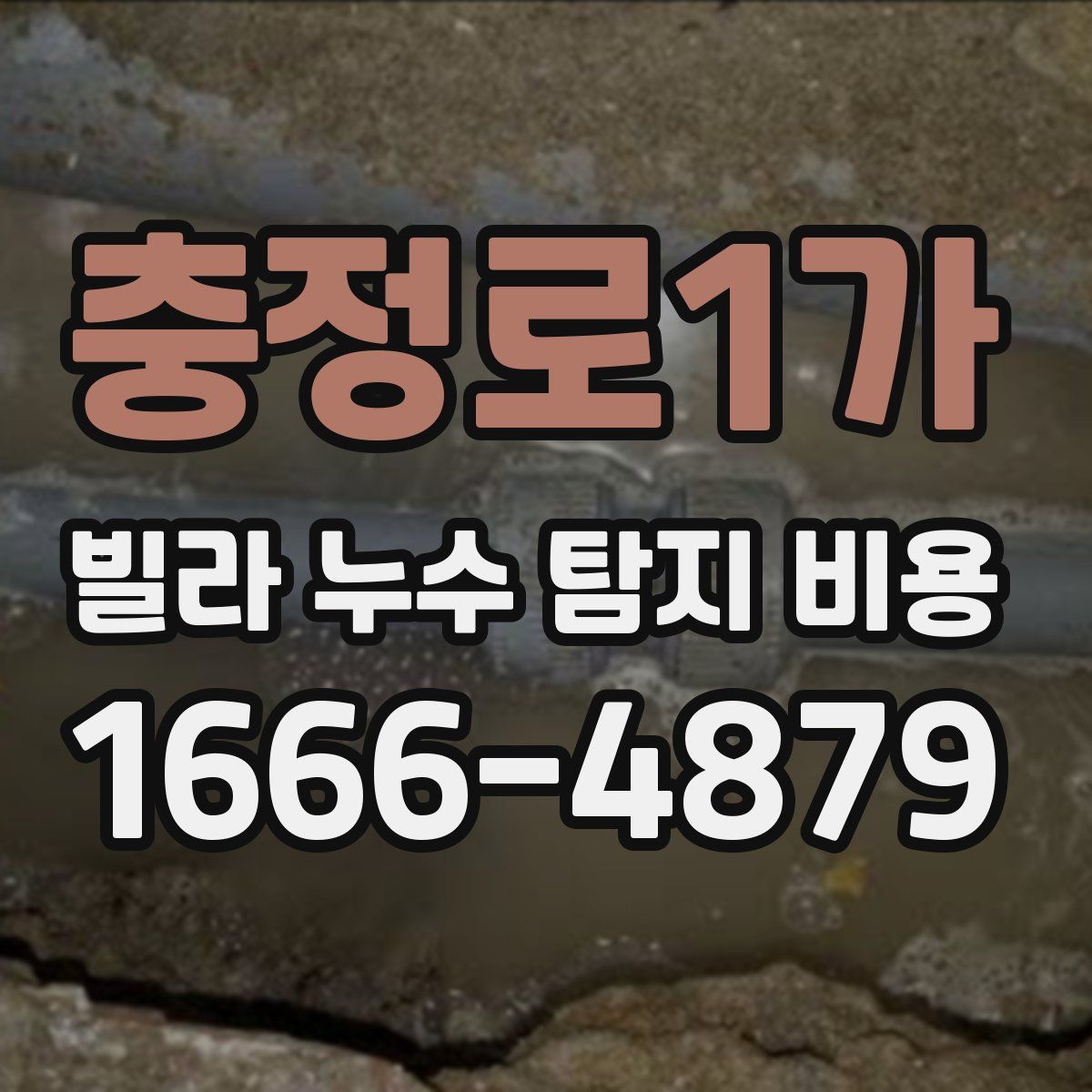 충정로1가 빌라 누수 탐지 비용