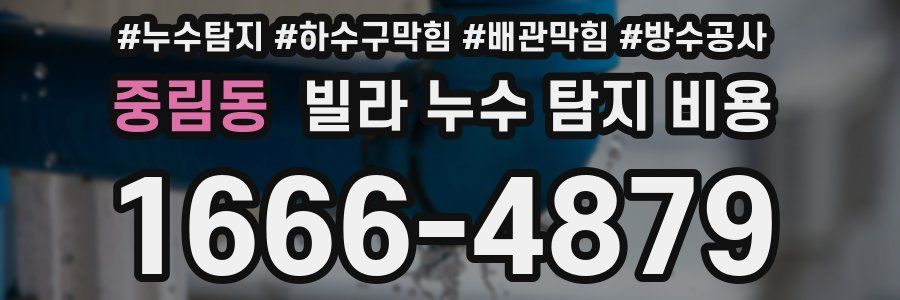 중림동 빌라 누수 탐지 비용