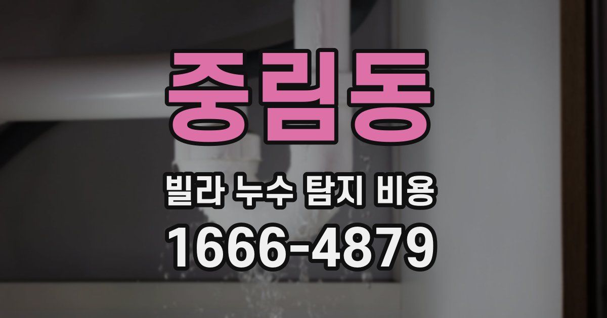중림동 빌라 누수 탐지 비용