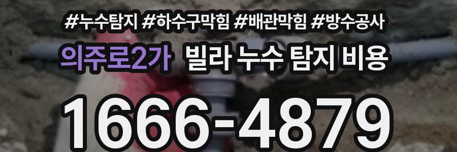 의주로2가 빌라 누수 탐지 비용