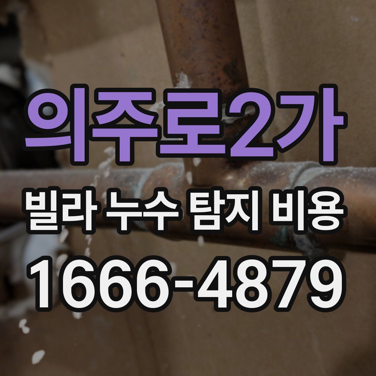의주로2가 빌라 누수 탐지 비용
