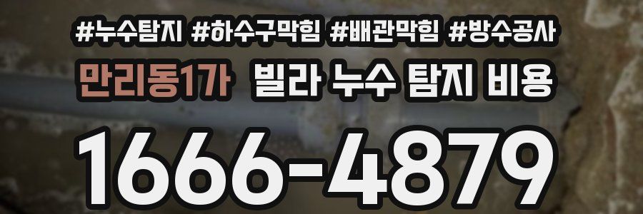 만리동1가 빌라 누수 탐지 비용
