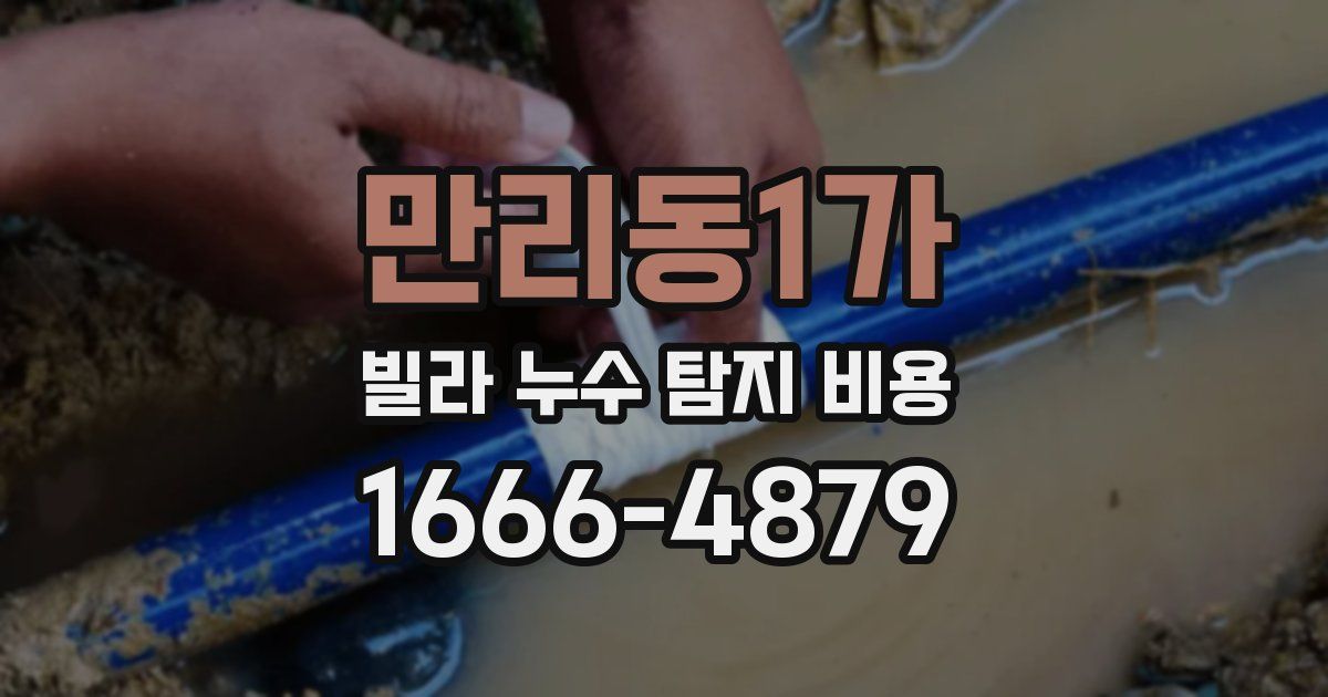 만리동1가 빌라 누수 탐지 비용