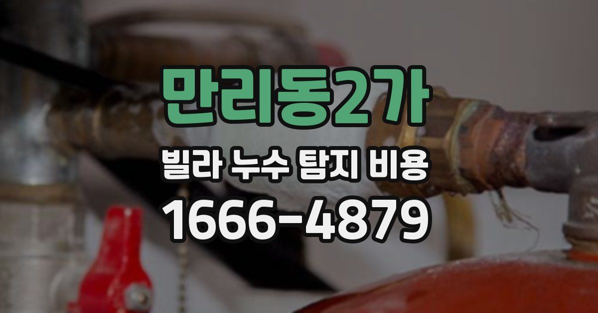 만리동2가 빌라 누수 탐지 비용
