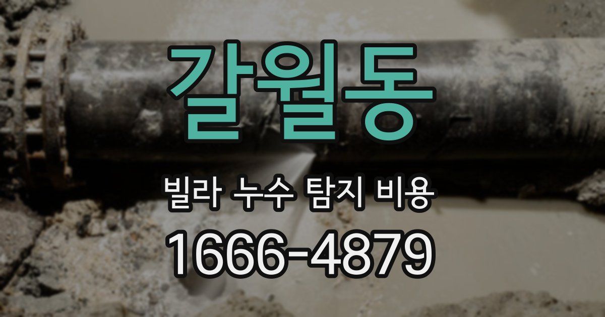 갈월동 빌라 누수 탐지 비용