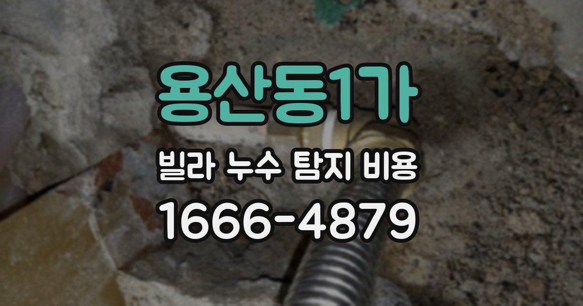 용산동1가 빌라 누수 탐지 비용