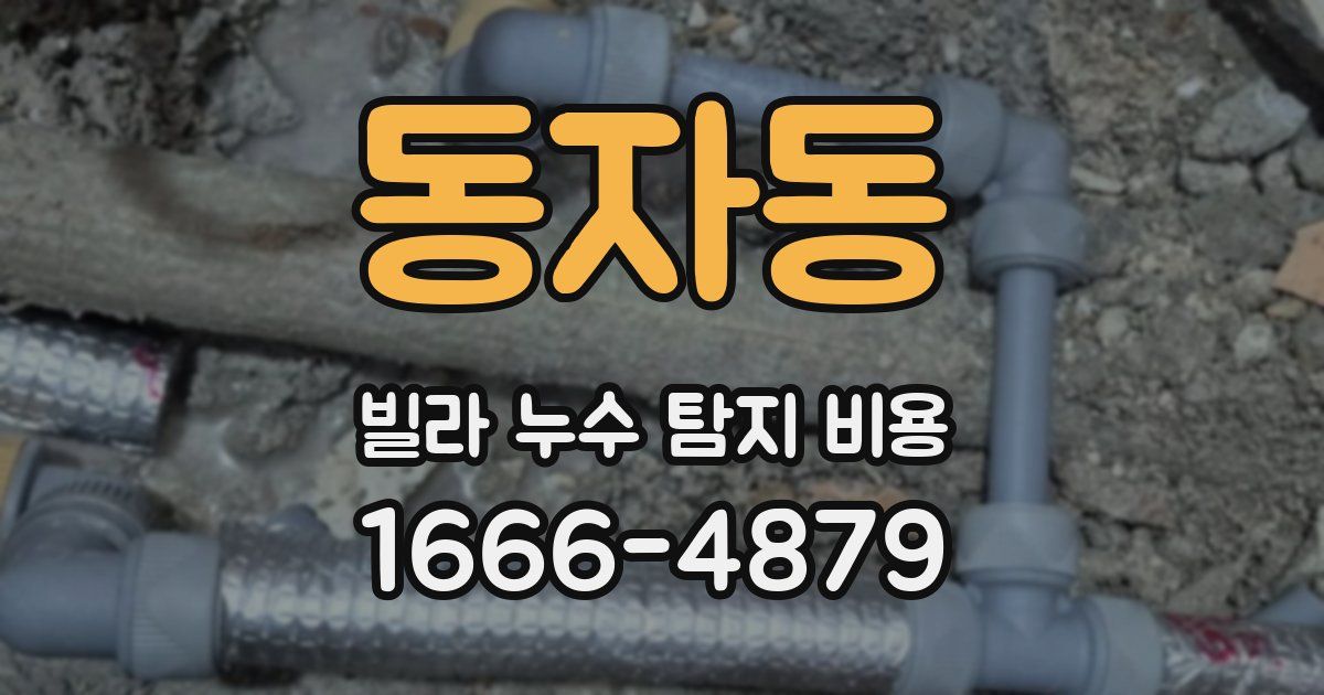 동자동 빌라 누수 탐지 비용
