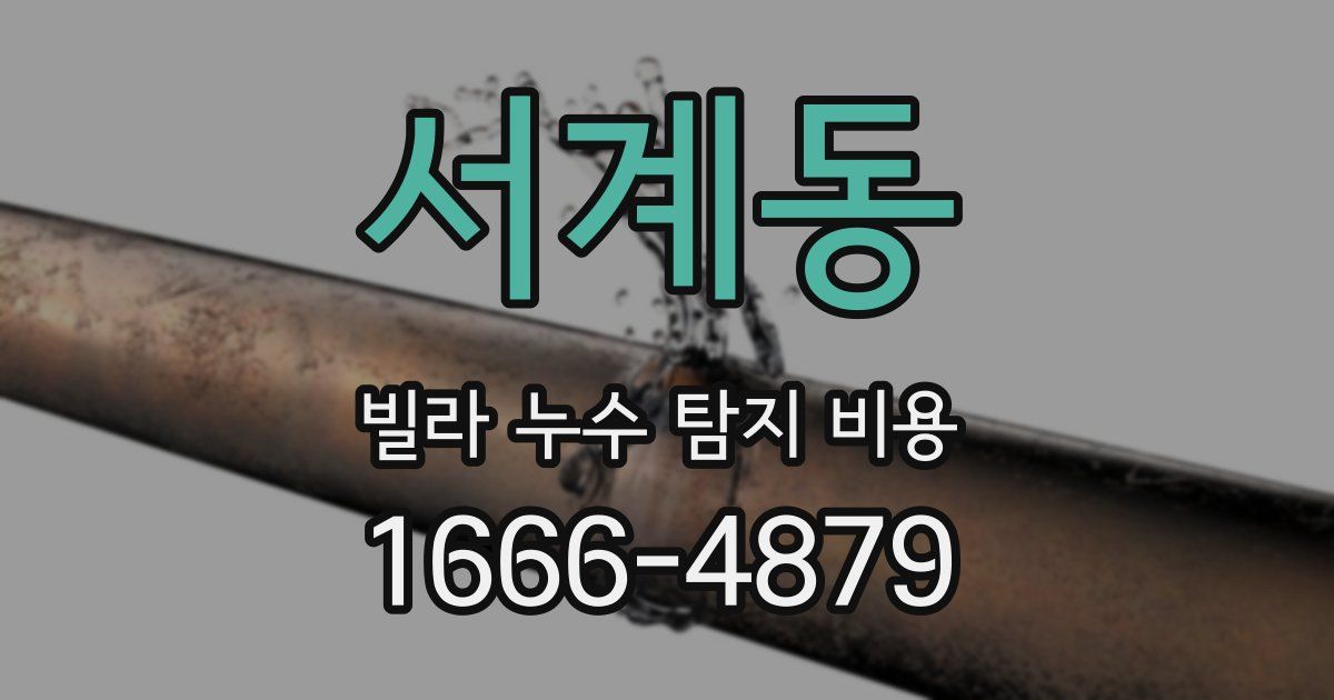 서계동 빌라 누수 탐지 비용