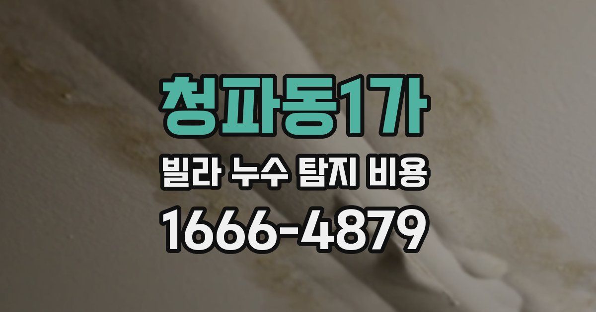 청파동1가 빌라 누수 탐지 비용