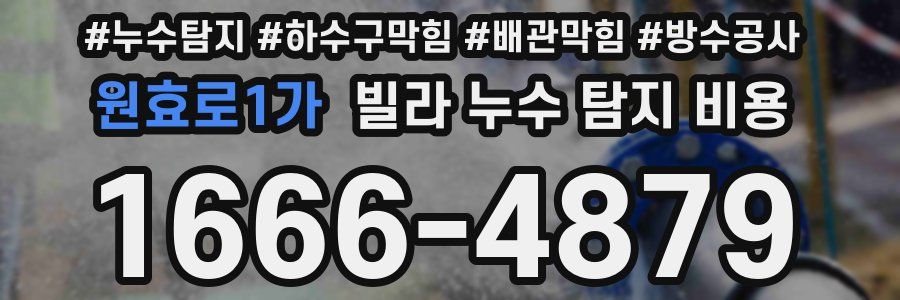 원효로1가 빌라 누수 탐지 비용