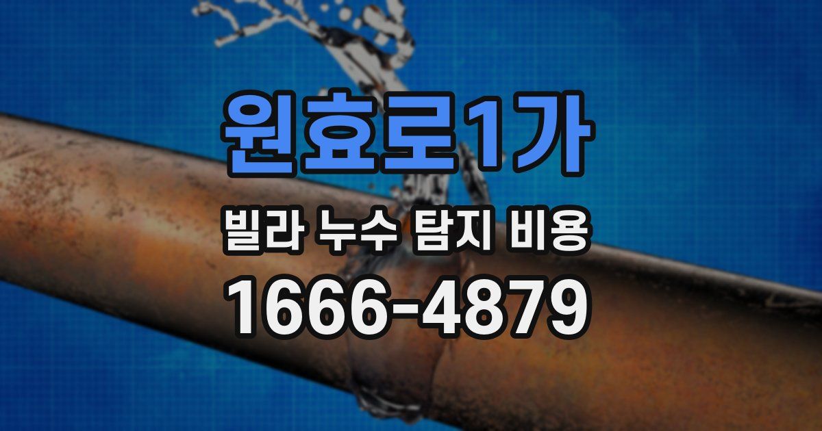 원효로1가 빌라 누수 탐지 비용