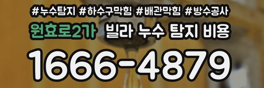 원효로2가 빌라 누수 탐지 비용