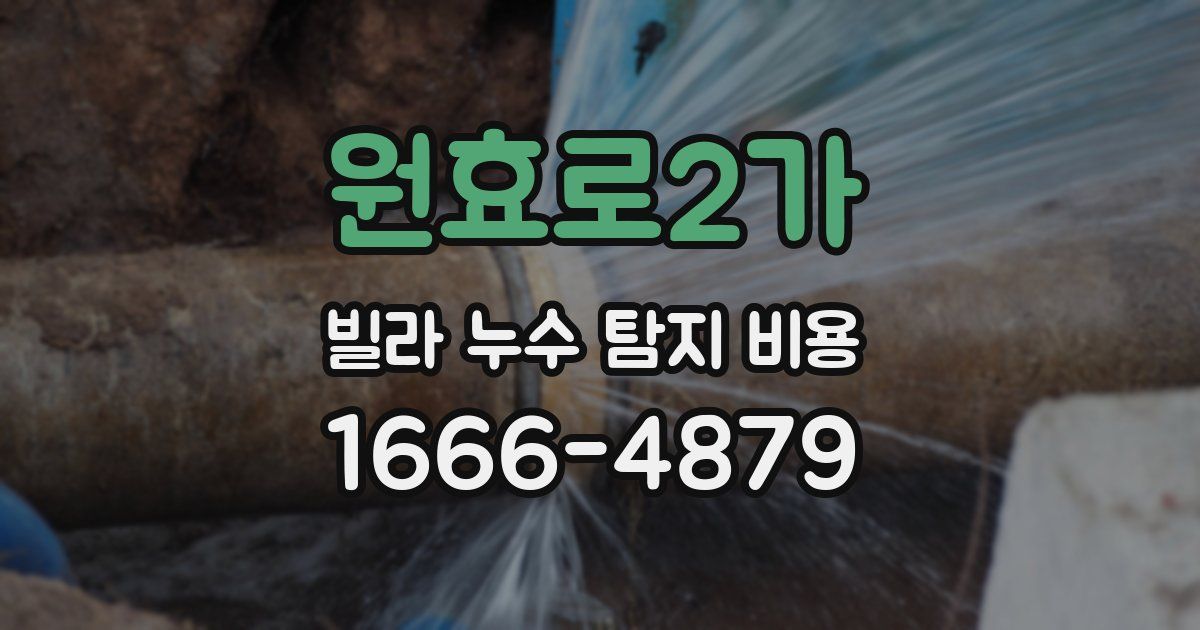 원효로2가 빌라 누수 탐지 비용