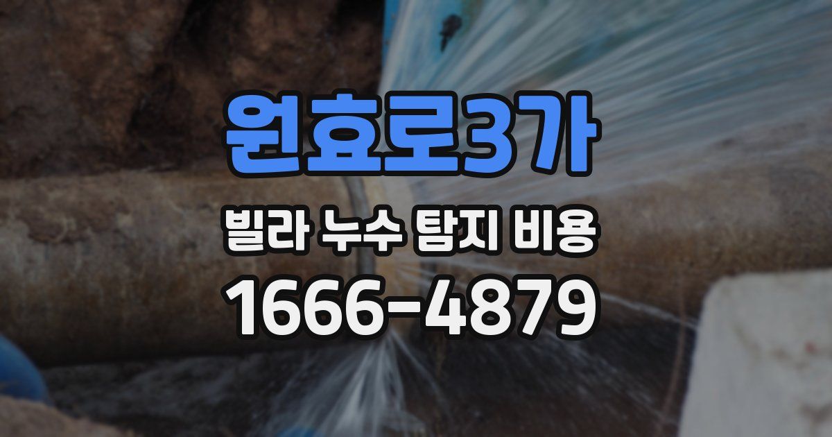 원효로3가 빌라 누수 탐지 비용
