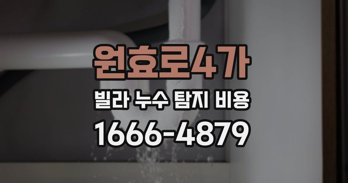 원효로4가 빌라 누수 탐지 비용