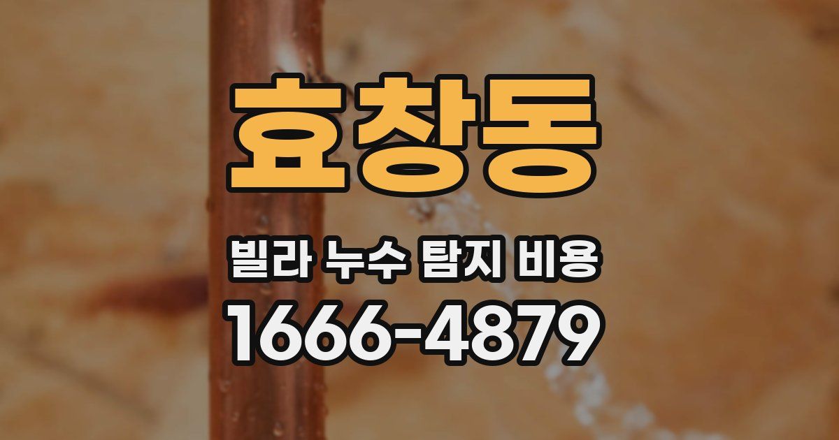 효창동 빌라 누수 탐지 비용