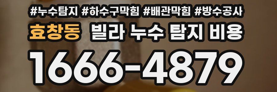 효창동 빌라 누수 탐지 비용