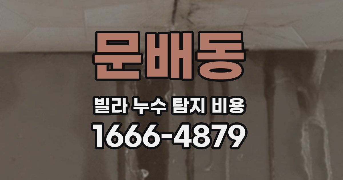 문배동 빌라 누수 탐지 비용