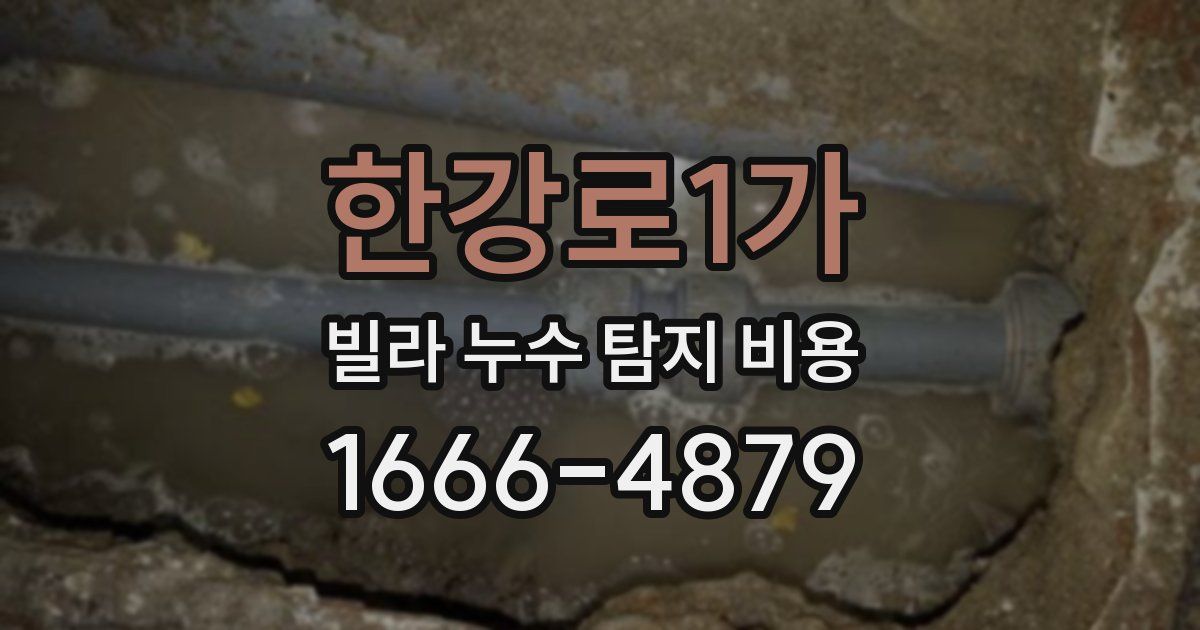 한강로1가 빌라 누수 탐지 비용