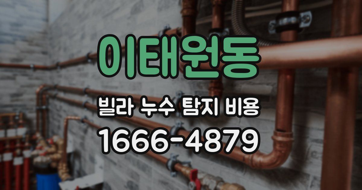 이태원동 빌라 누수 탐지 비용