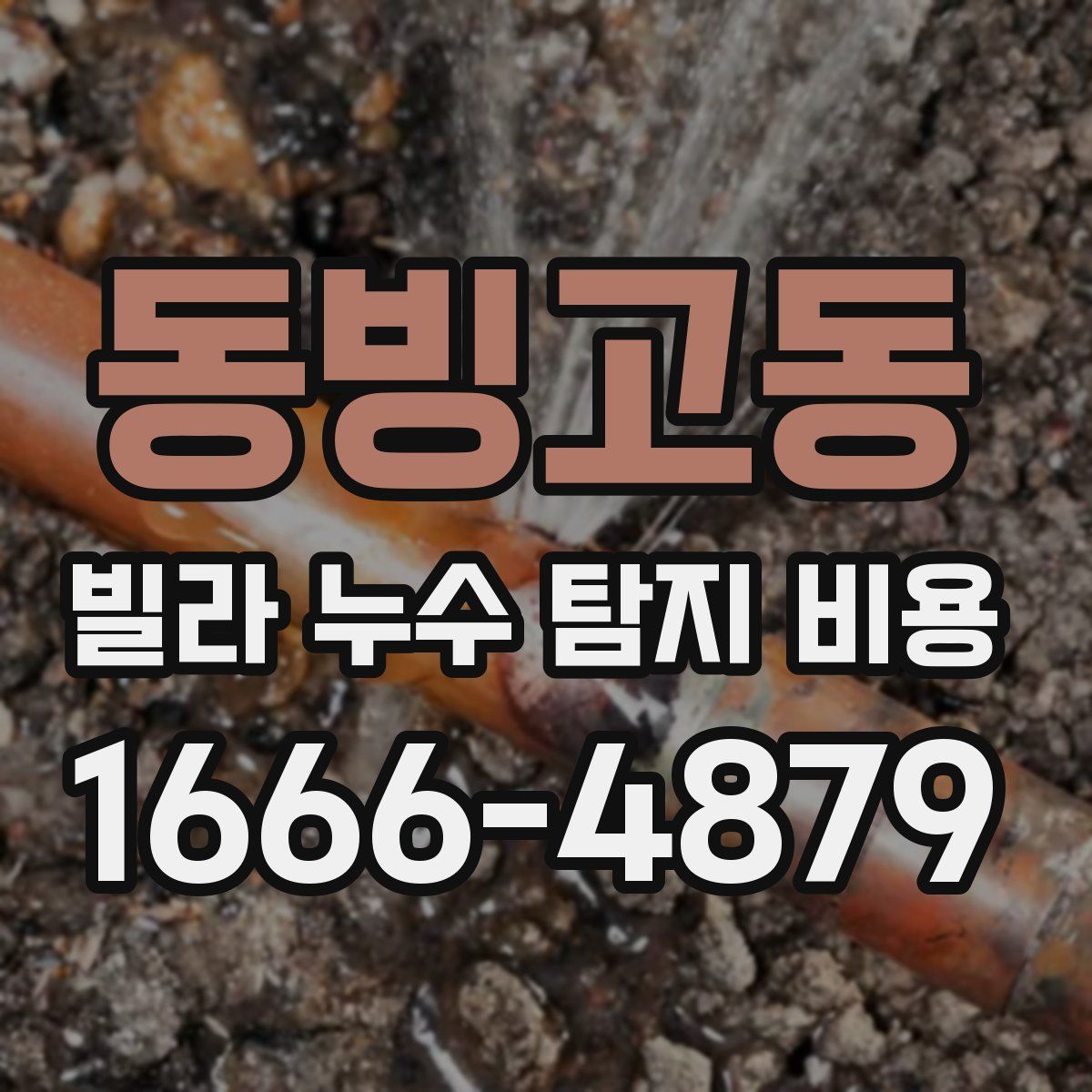 동빙고동 빌라 누수 탐지 비용