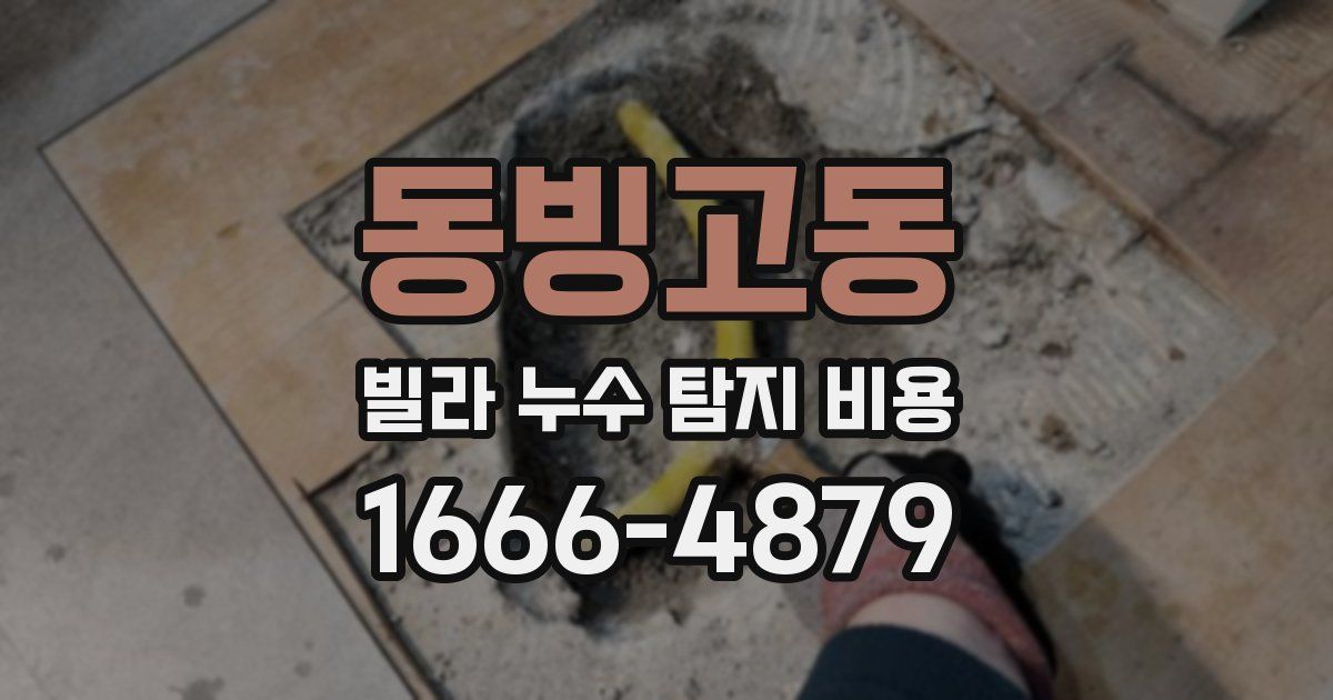 동빙고동 빌라 누수 탐지 비용