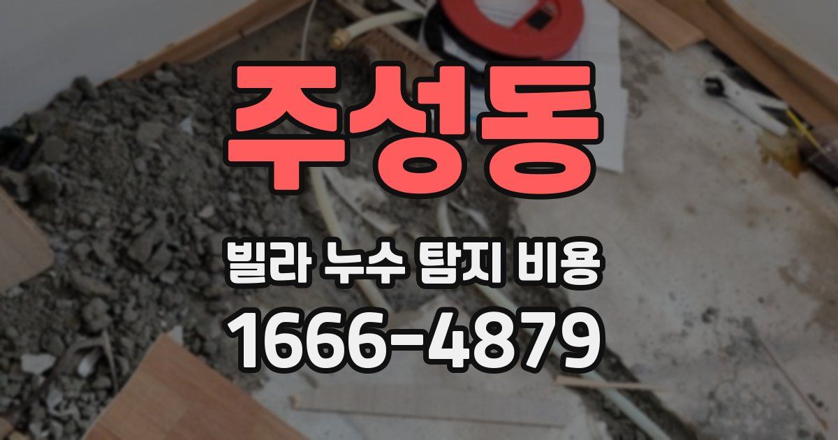 주성동 빌라 누수 탐지 비용