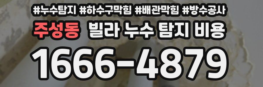 주성동 빌라 누수 탐지 비용