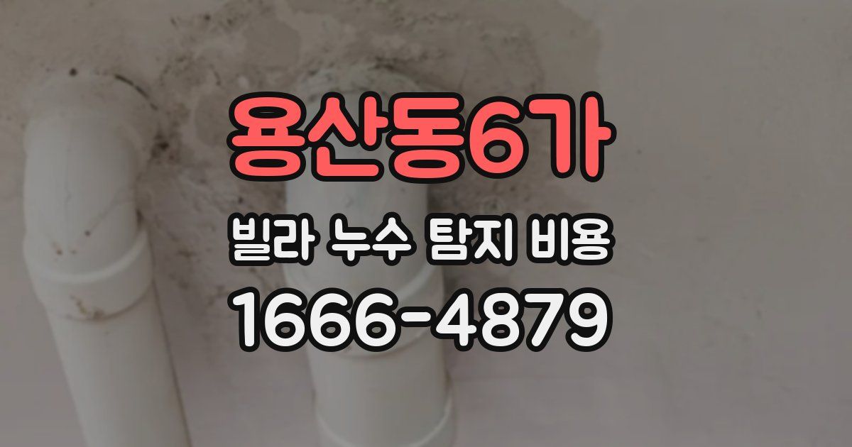 용산동6가 빌라 누수 탐지 비용