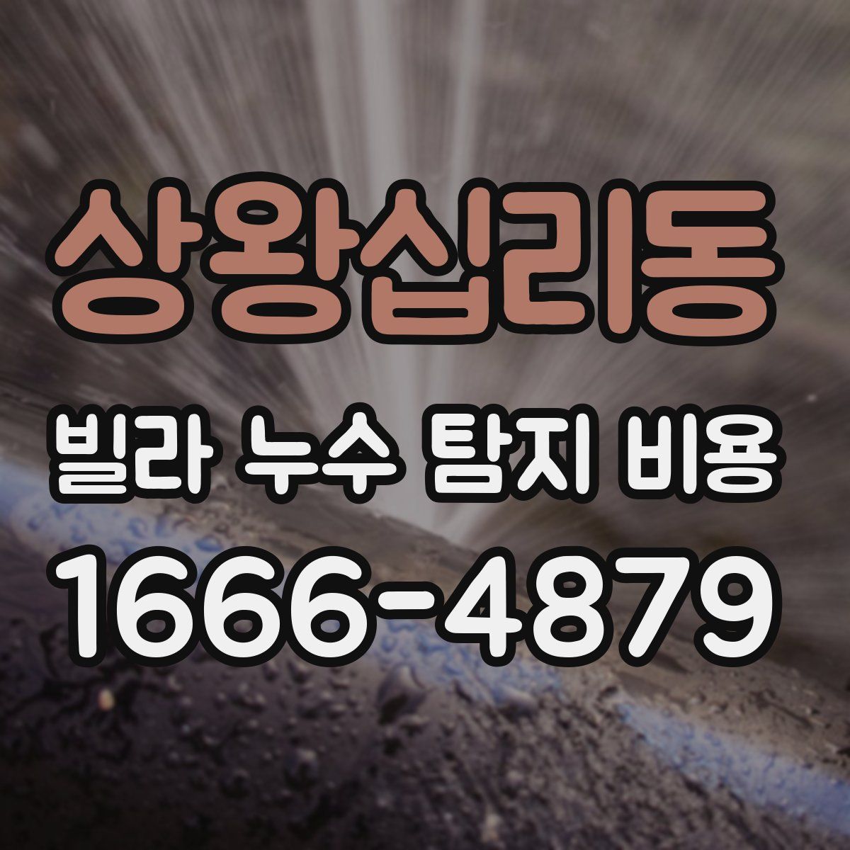 상왕십리동 빌라 누수 탐지 비용