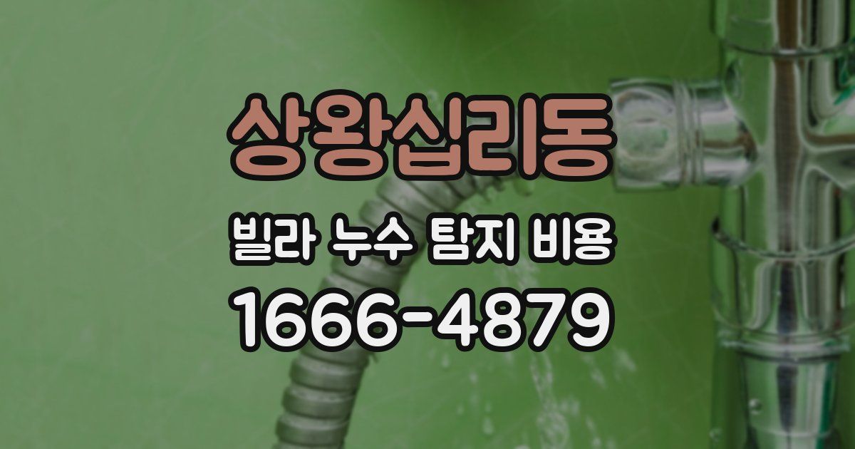 상왕십리동 빌라 누수 탐지 비용