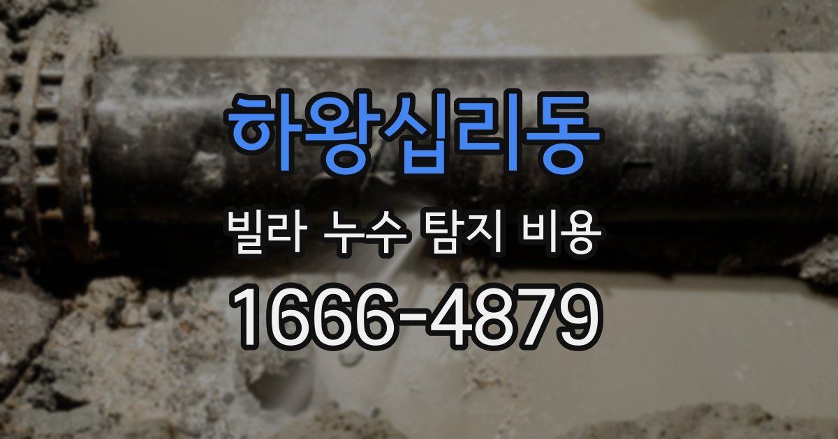 하왕십리동 빌라 누수 탐지 비용