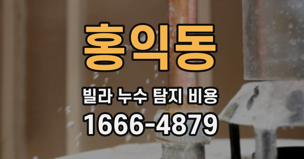 홍익동 빌라 누수 탐지 비용