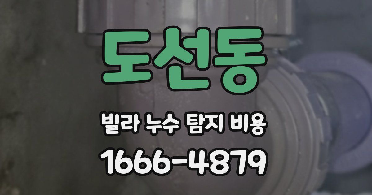 도선동 빌라 누수 탐지 비용