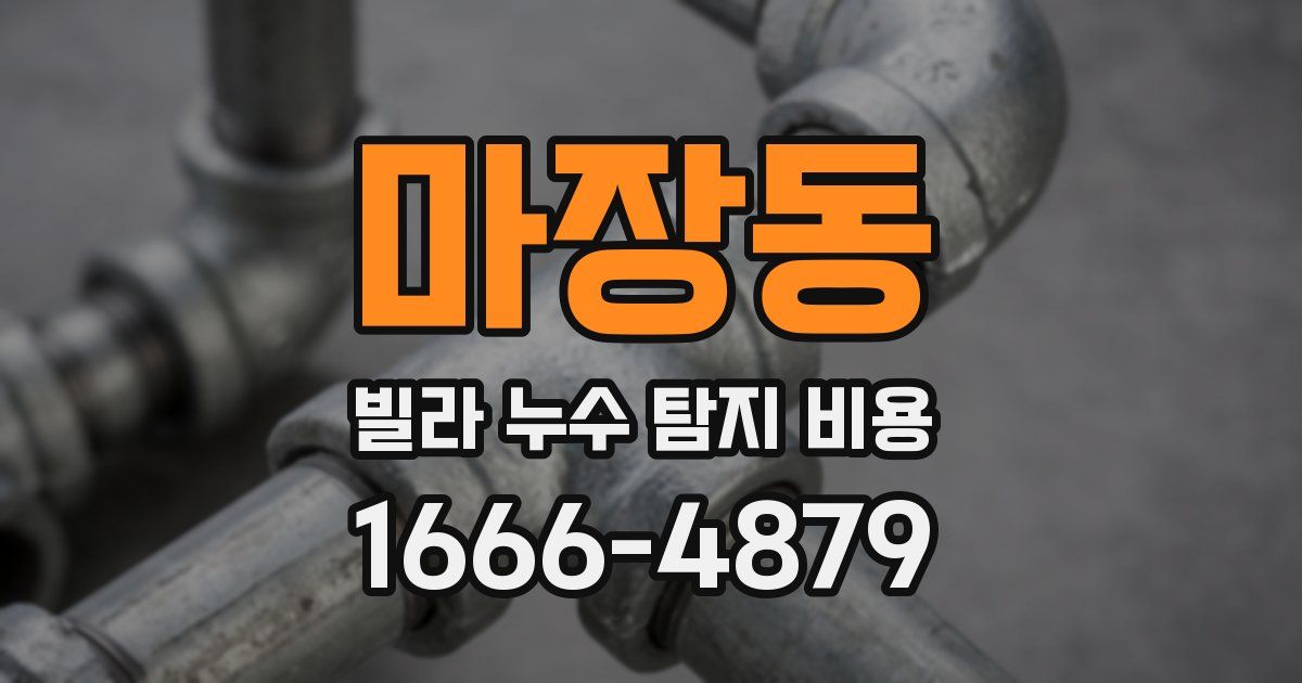 마장동 빌라 누수 탐지 비용