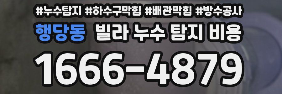 행당동 빌라 누수 탐지 비용