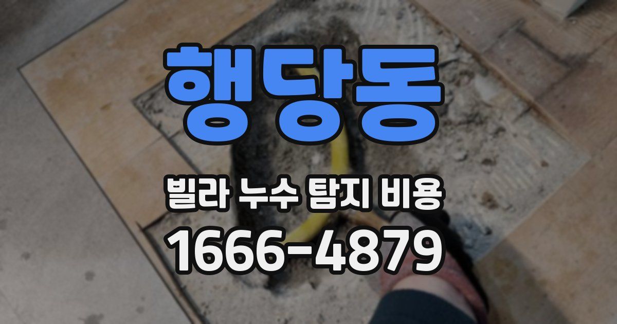 행당동 빌라 누수 탐지 비용