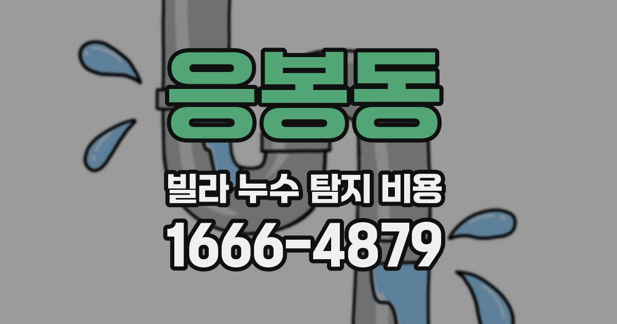 응봉동 빌라 누수 탐지 비용
