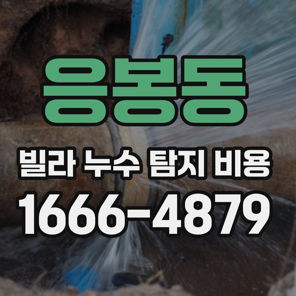 응봉동 빌라 누수 탐지 비용