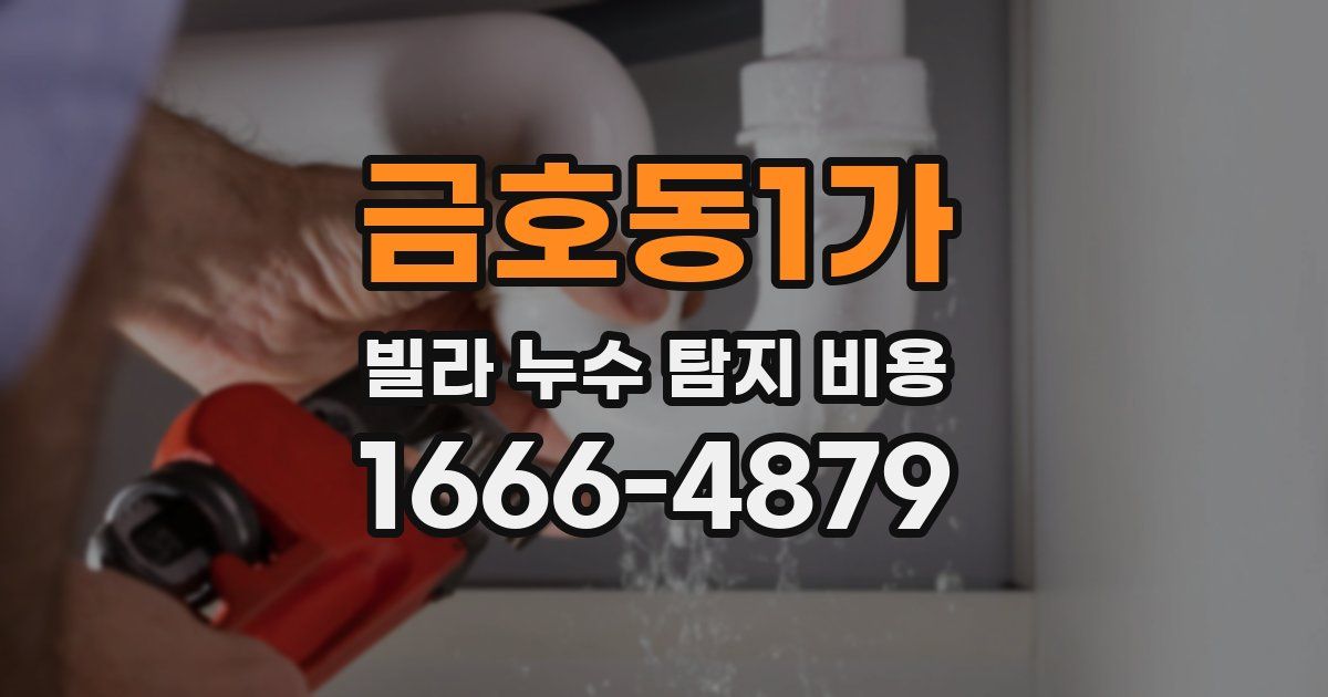 금호동1가 빌라 누수 탐지 비용