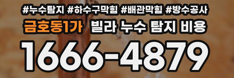 금호동1가 빌라 누수 탐지 비용