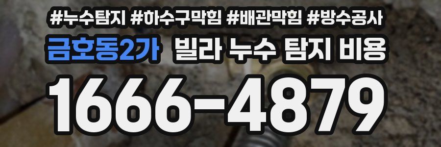 금호동2가 빌라 누수 탐지 비용
