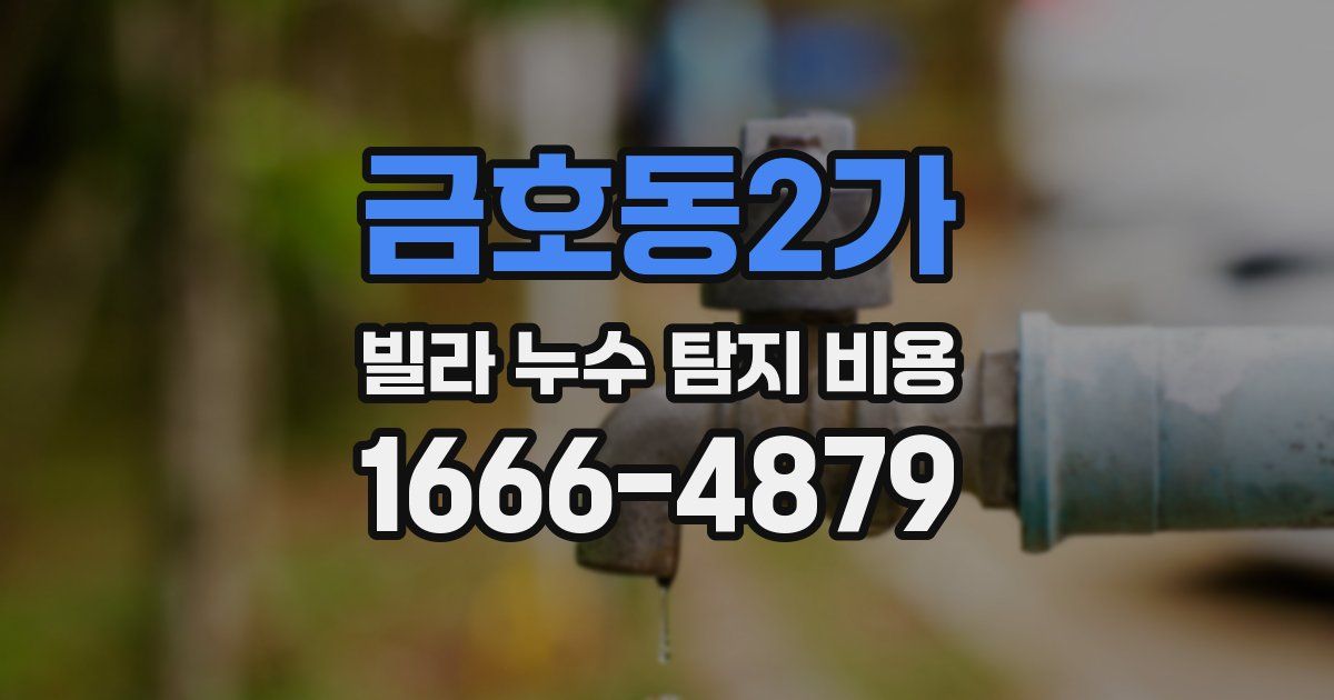금호동2가 빌라 누수 탐지 비용