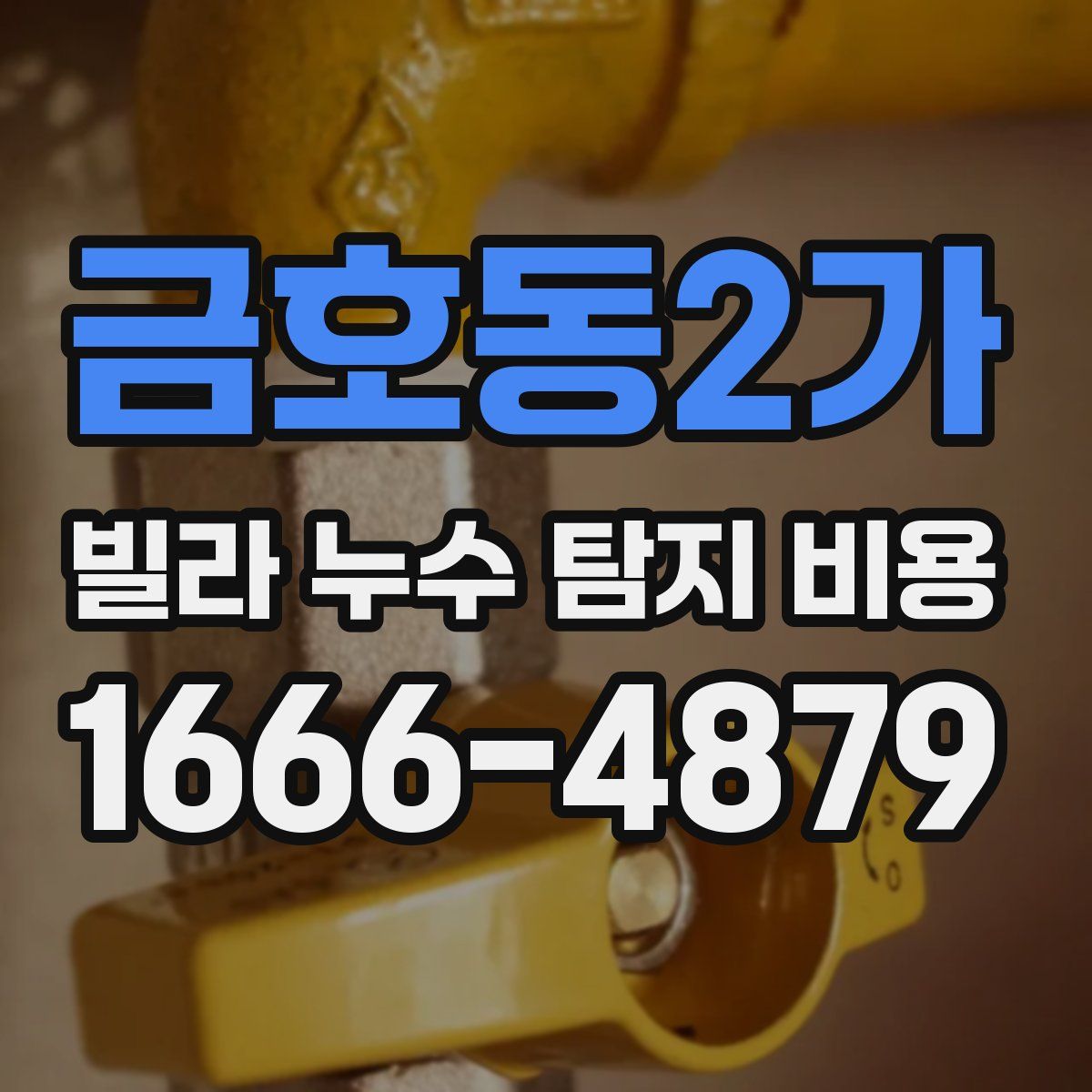 금호동2가 빌라 누수 탐지 비용