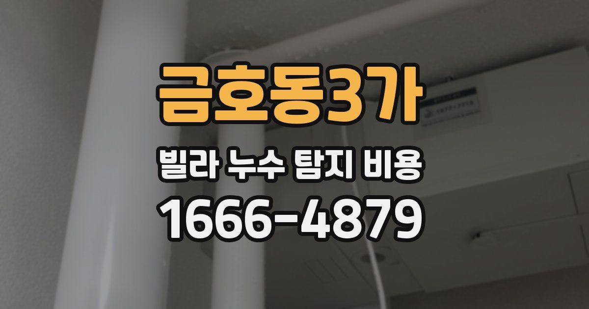 금호동3가 빌라 누수 탐지 비용