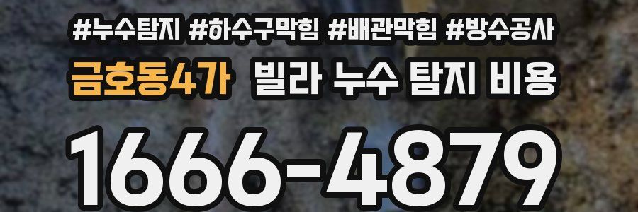 금호동4가 빌라 누수 탐지 비용